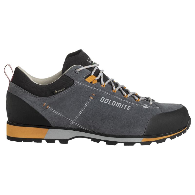 Dolomite 54 Hike Low EVO GTX Wanderschuhe Herren