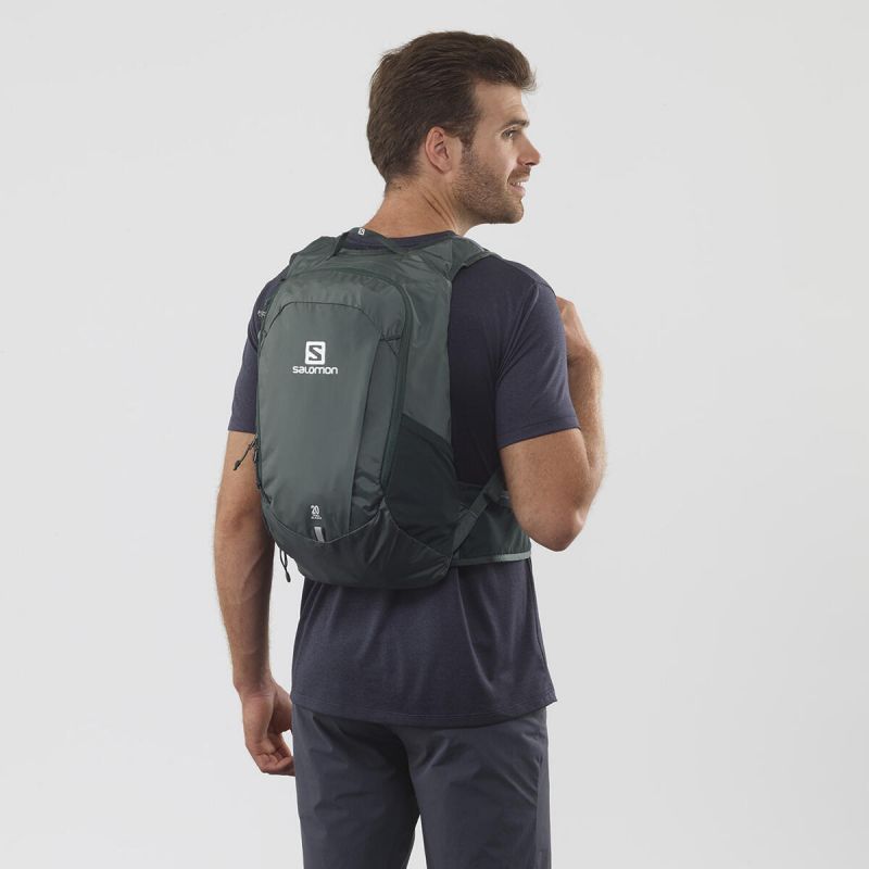 salomon 20l running backpack