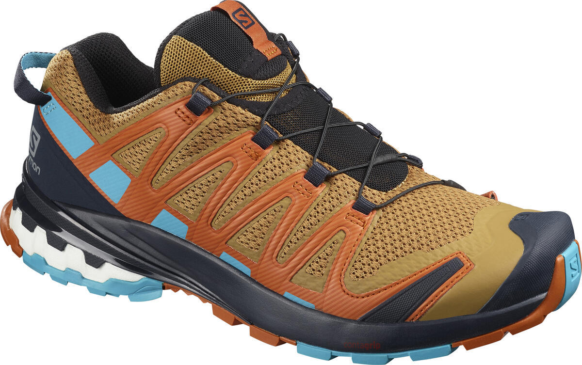 Salomon XA Pro 3D V8 - Chaussures randonnée homme