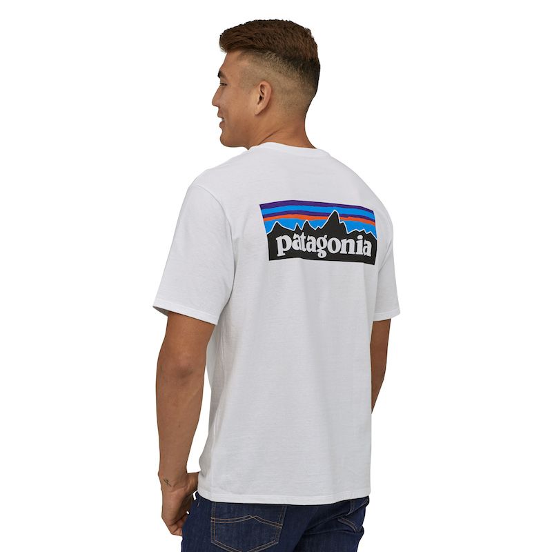 t shirt patagonia homme