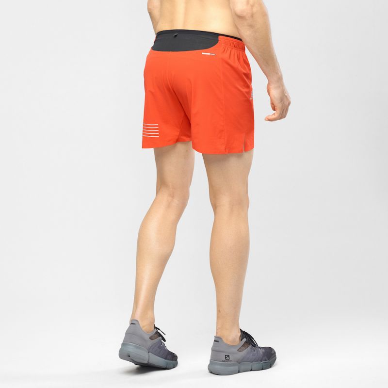 salomon sense short m