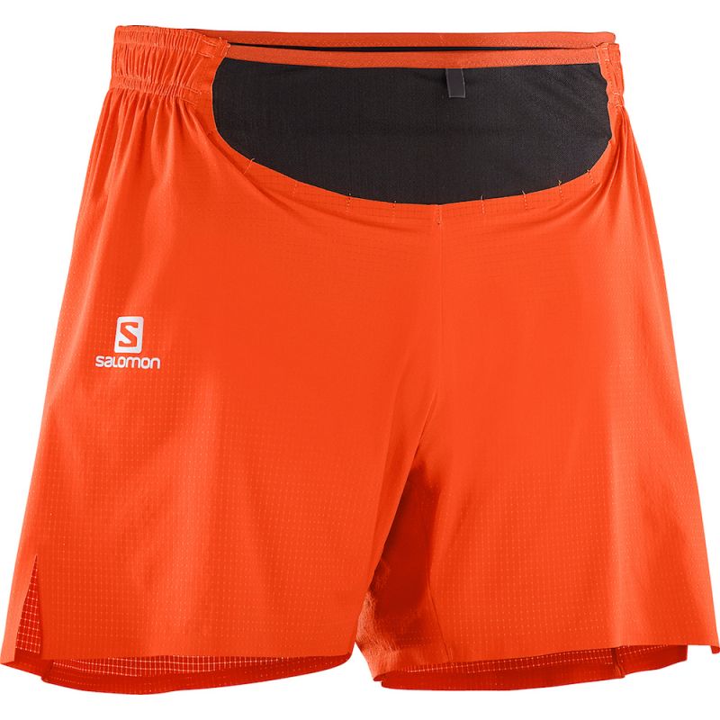 short trail salomon homme