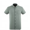 Agave Green / Plaid