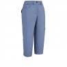 Bleuet