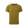 Fir Green stripe