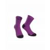 Cactus Purple