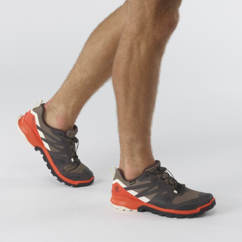 salomon rogg gtx