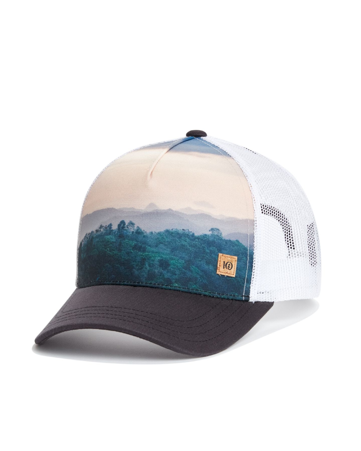 Tentree Bali Altitude Hat - Cap