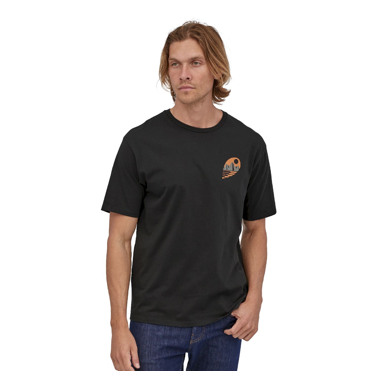 Patagonia Tube View Organic - T-shirt homme