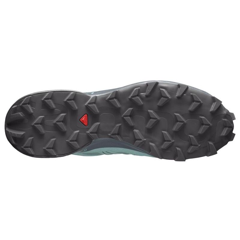 speedcross 5 gtx femme