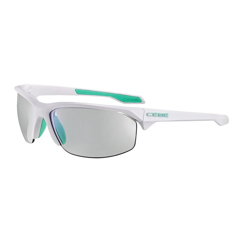 NEUF BLACK FLYS Lunettes de Soleil Mouche Abri Violet Tortue W/ Pente