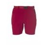 Ternua - Fris - Hiking shorts - Men's