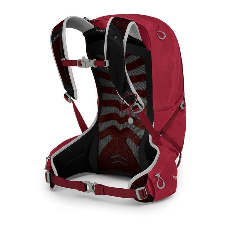 osprey talon 22 daypack