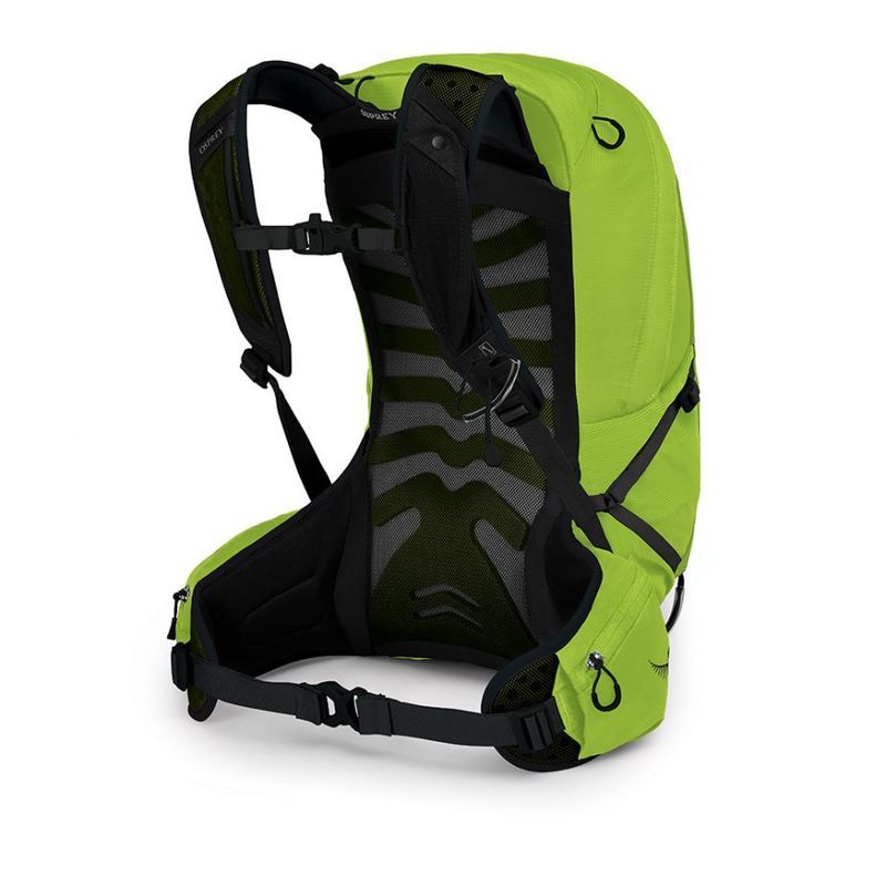 talon backpack