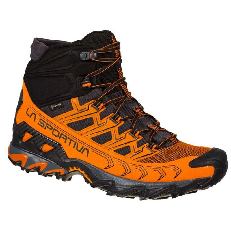 ultra raptor ii mid leather gtx