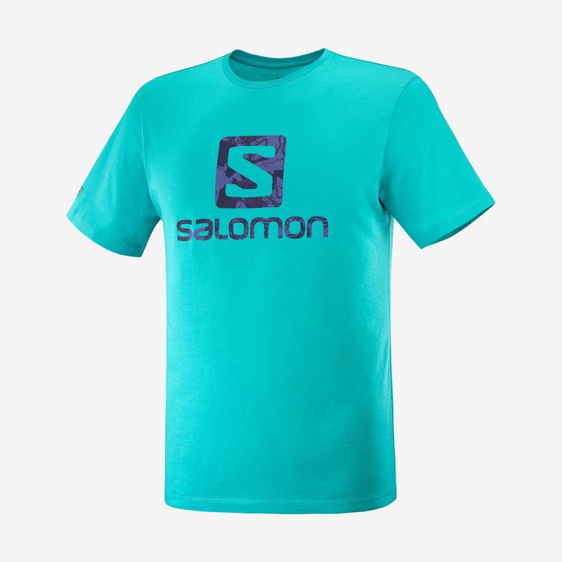 SALOMON Outlife Logo SS tee M Camiseta Hombre
