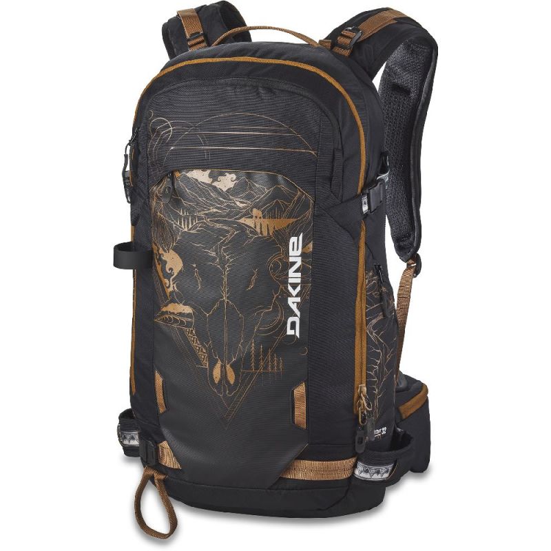 dakine backpack ski