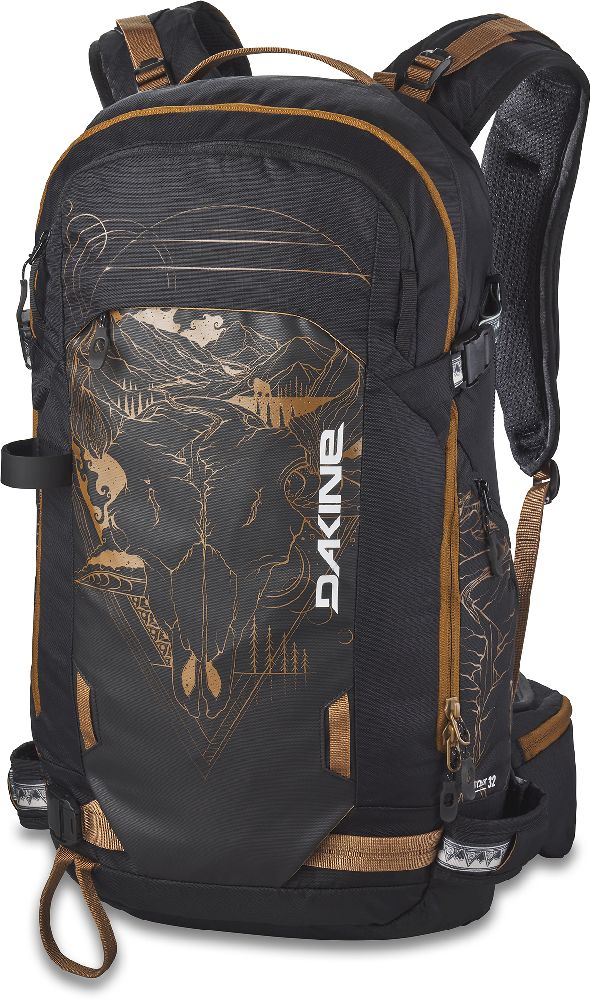 dakine skiing backpack