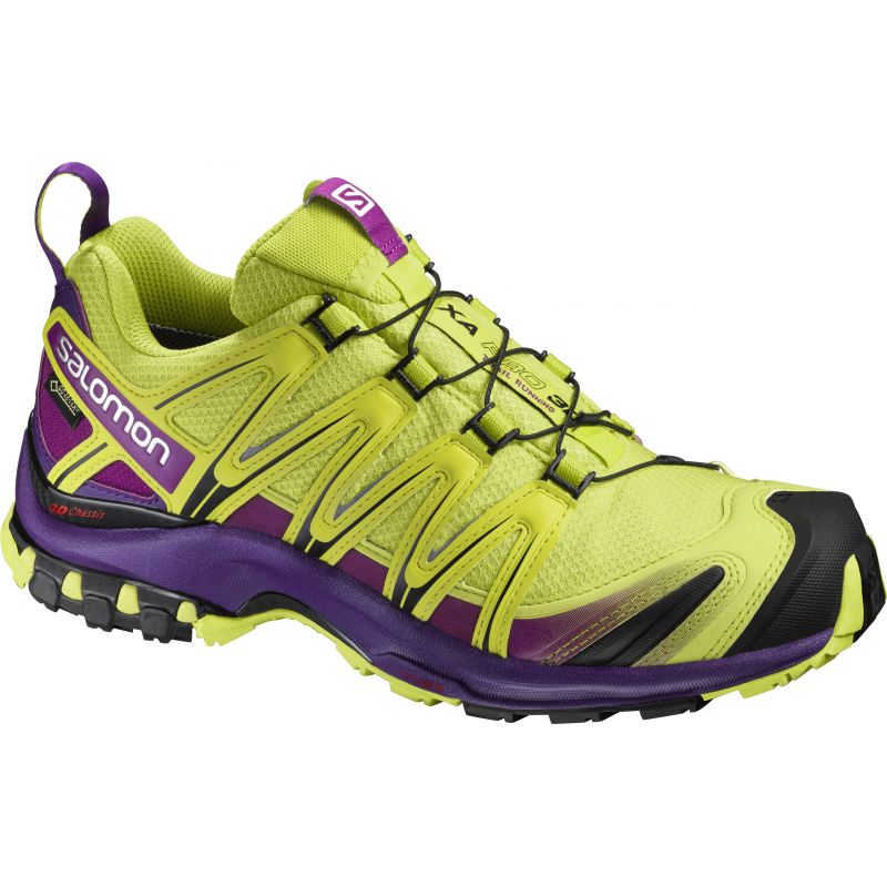 salomon xa pro 3d gtx w