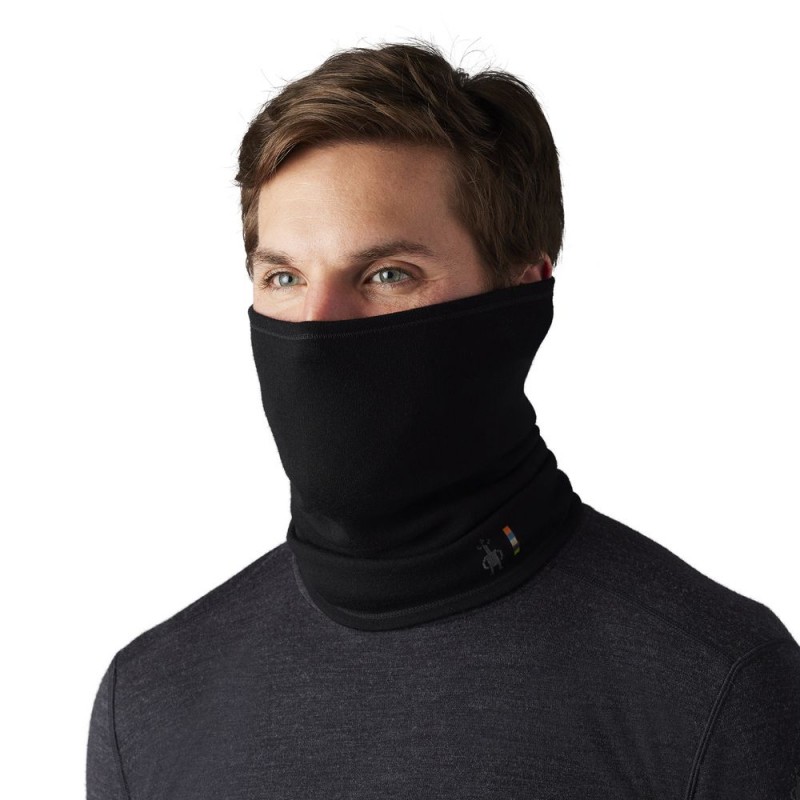 smartwool 250 neck gaiter