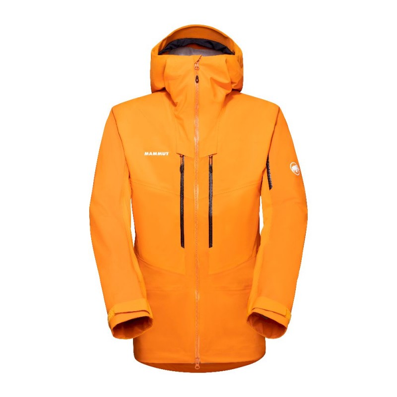 Mammut Haldigrat HS Hooded Jacket - Chaqueta de esquí - Hombre
