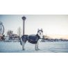 Non-stop dogwear Amundsen Pack - Sac à dos pour chien randonnée | Hardloop
