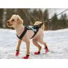 Non-stop dogwear Freemotion - Harnais pour chien | Hardloop