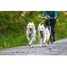 Non-stop dogwear Freemotion - Postroj pro psa | Hardloop