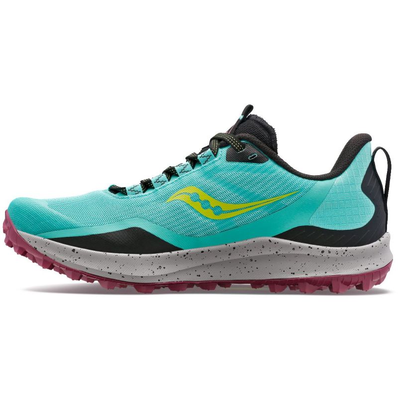 salomon ultra trail pro