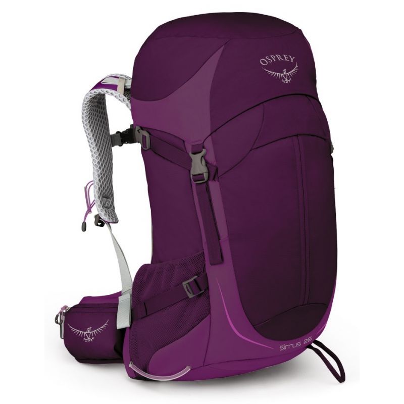 purple hiking backpack