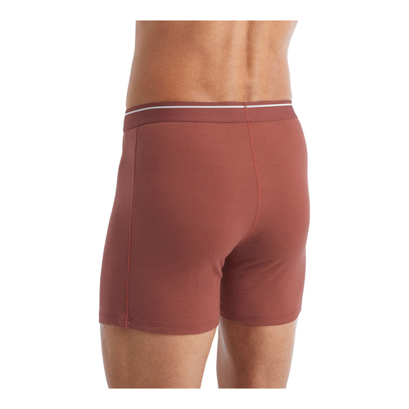 Icebreaker - Anatomica Boxers - Ropa interior - Hombre