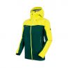 Dark Teal / Canary