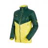 Dark Teal / Canary / Canary