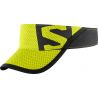 Sulphur Spring / Black