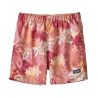 Wild Waratah: Petra Pink