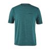 P-6 Logo: Tasmanian Teal X-Dye