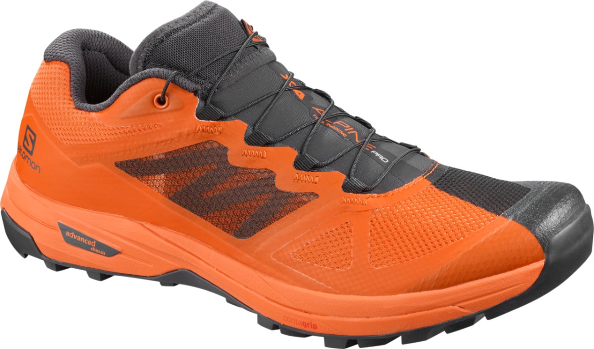 Salomon X Alpine /Pro - Scarpe da trail running - Uomo
