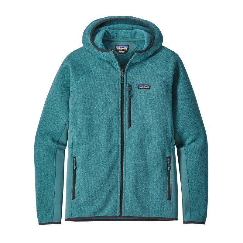 hoodie patagonia homme