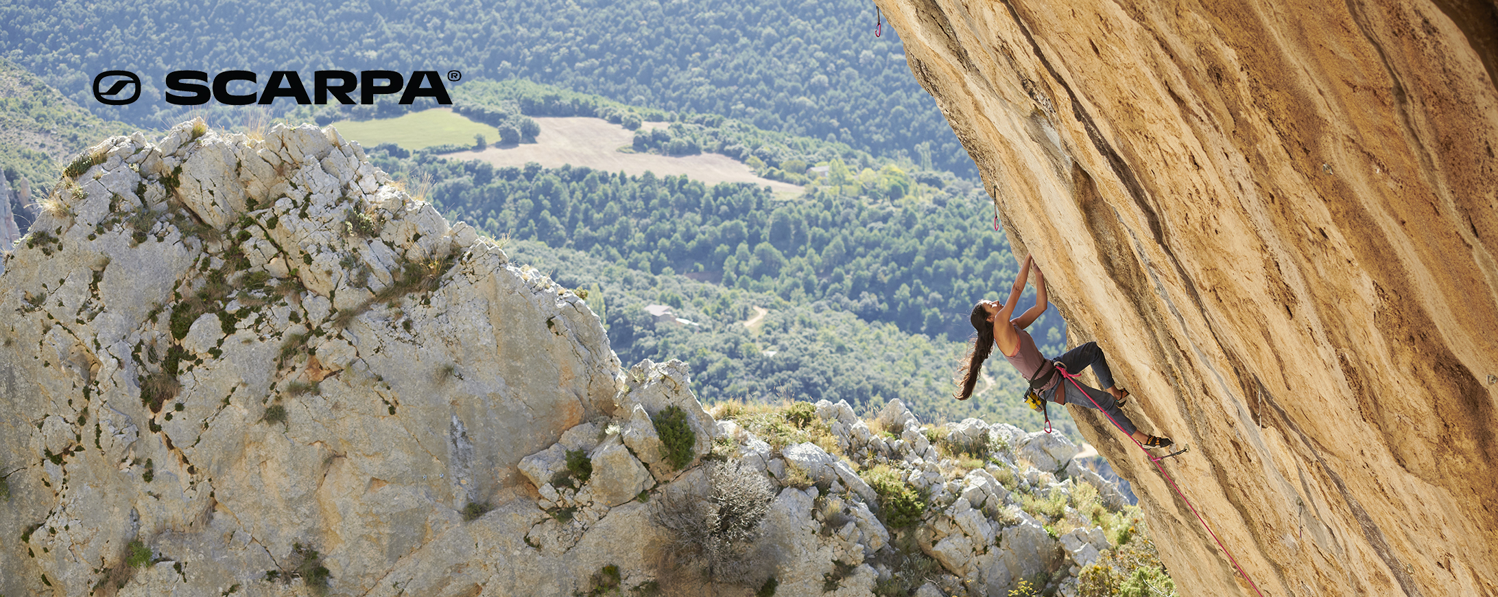 Scarpa
