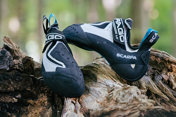 scarpa on line